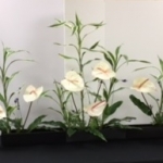 sunken gardens 2017-8 (307x193)