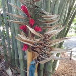 sunken%20gardens%202017-1 (360x640)