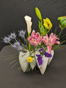 PXL_20260119_165604650