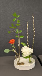 PXL_20260119_165637155