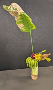 PXL_20260119_165655939~2