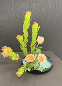 Susan Thorpe 9-2026 (4)
