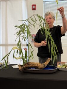 Susan Thorpe 9-2026 (6)
