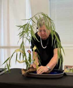 Susan Thorpe 9-2026 (7)