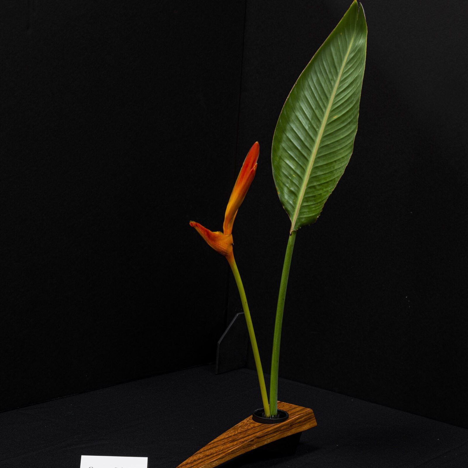 FL-IkebanaExhibition_3-5-22-99
