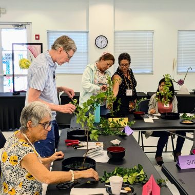 beginners workshop 10-2025